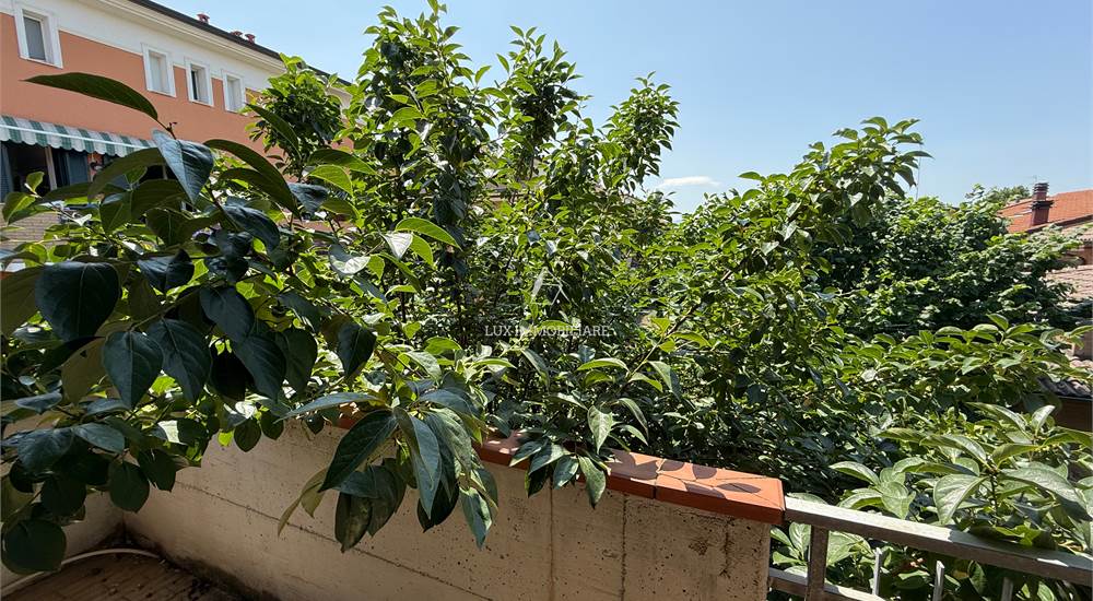 balcone camera