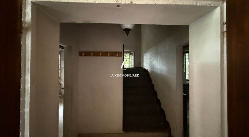 ingresso